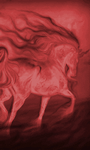 pic for Unicorn 480x800